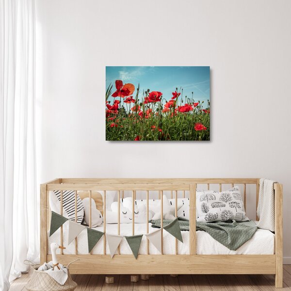 Tablou pe sticlă - Pe câmpul cu maci (70x50 cm)