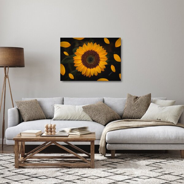 Tablou pe sticlă - Floarea soarelui și petale (70x50 cm)