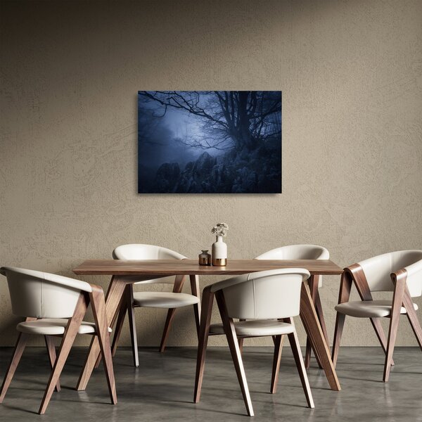 Tablou pe sticlă pădurii întunecate (70x50 cm)