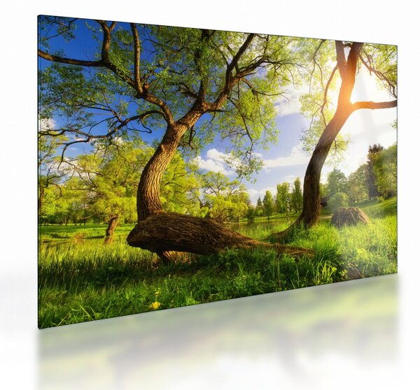 Tablou pe sticlă lunca ne primăvară (70x50 cm)