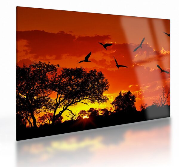 Tablou pe sticlă cu păsări în apus de soare (70x50 cm)