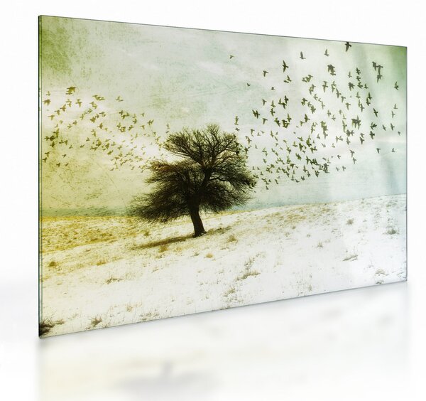 Tablou pe sticlă - cu multe păsări pictate (70x50 cm)