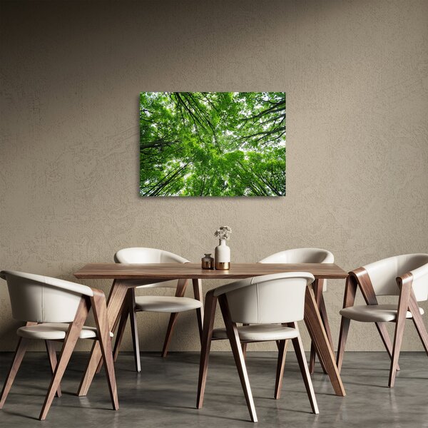 Tablou pe sticlă - privire în coroanele pomilor (70x50 cm)