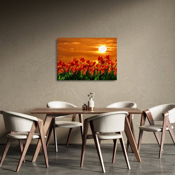 Tablou pe sticlă - lan înflorit de lalele (70x50 cm)