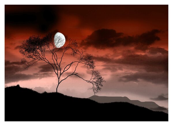 Tablou pe sticlă - Luna luminează noaptea (70x50 cm)