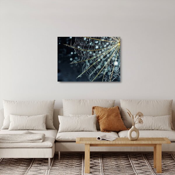 Tablou pe sticlă - Floare cu pânză de pâianjen (70x50 cm)