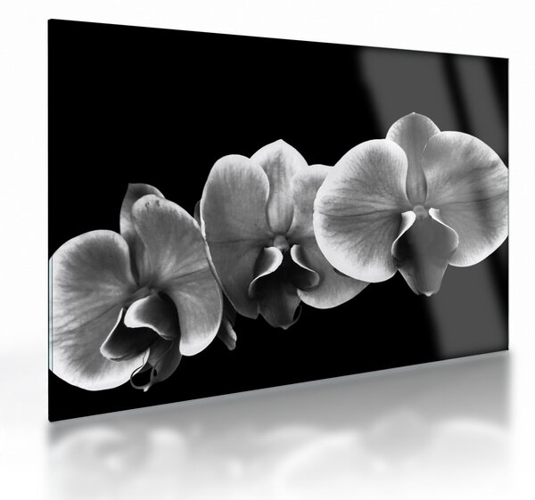 Tablou pe sticlă floare de orhidee (70x50 cm)