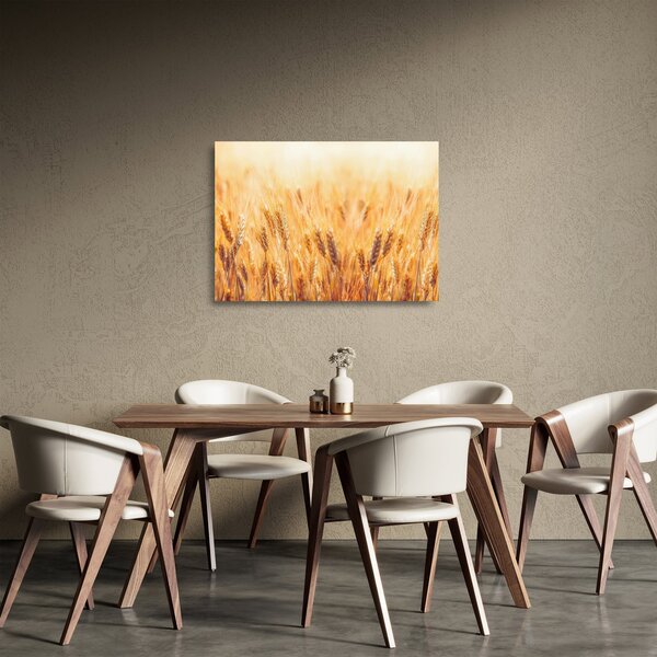 Tablou pe sticlă - câmp cu grâne (70x50 cm)