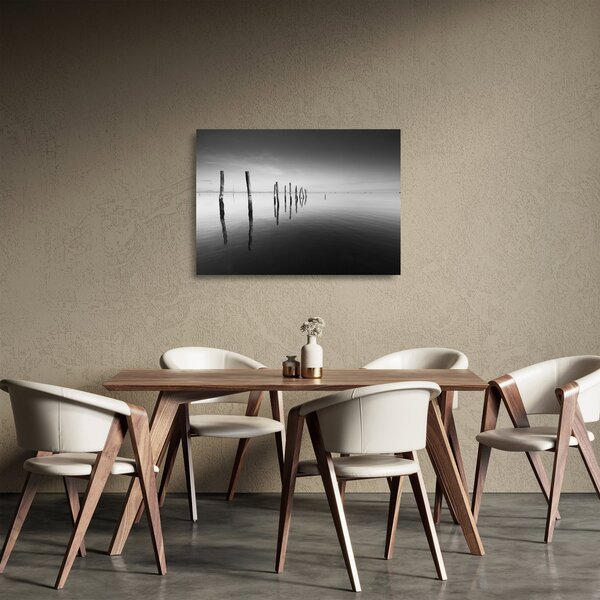 Tablou pe sticlă cu nivelul de lac alb negru (70x50 cm)