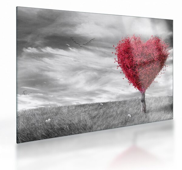Tablou pe sticlă -Inima din coroanele copacilor (70x50 cm)