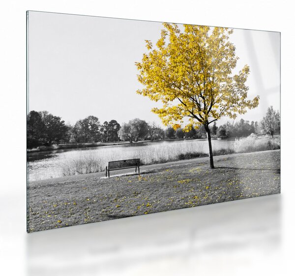 Tablou pe sticlă - relaxare în parc (70x50 cm)