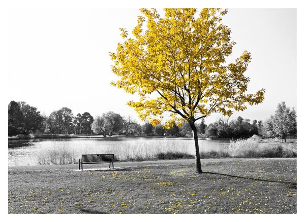 Tablou pe sticlă - relaxare în parc (70x50 cm)