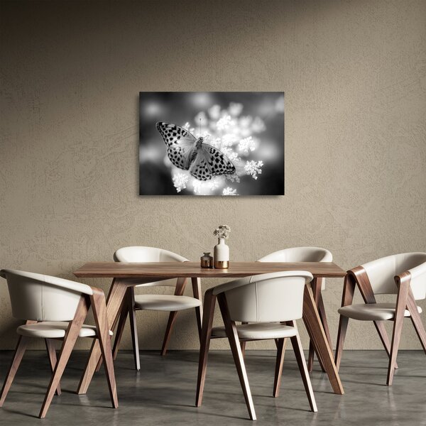 Tablou pe sticlă - Detailu cu fluture care polenizează floare (70x50 cm)