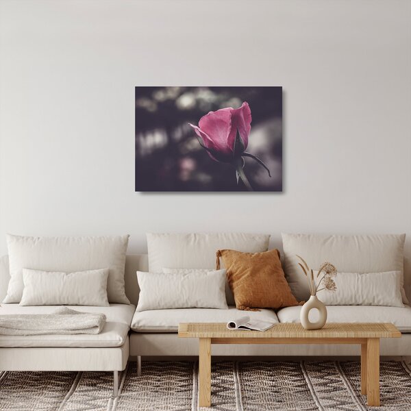 Tablou pe sticlă - Detaliu florii de trandafir (70x50 cm)