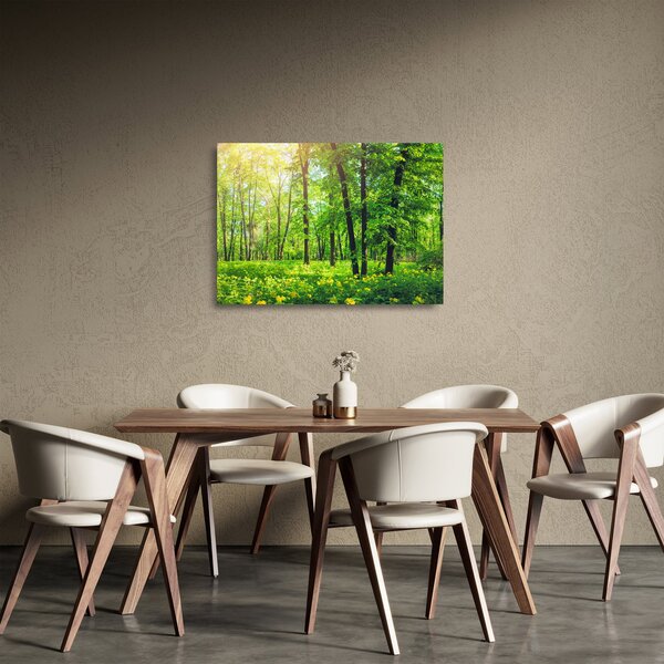 Tablou pe sticlă - Pădurea cu frunze de primăvară (70x50 cm)