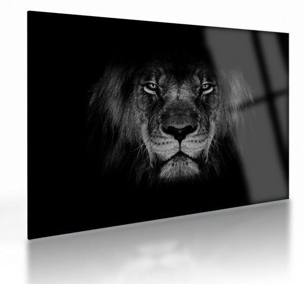 Tablou pe sticlă - Leu majestic (70x50 cm)
