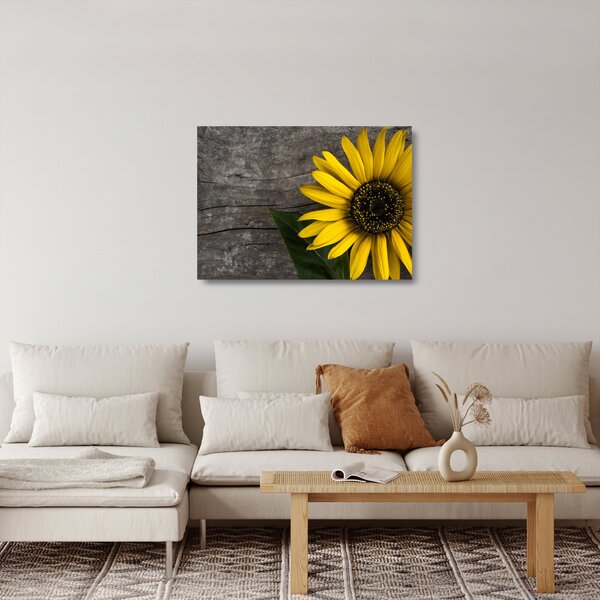 Tablou pe sticlă - Floare de floarea soarelui (70x50 cm)