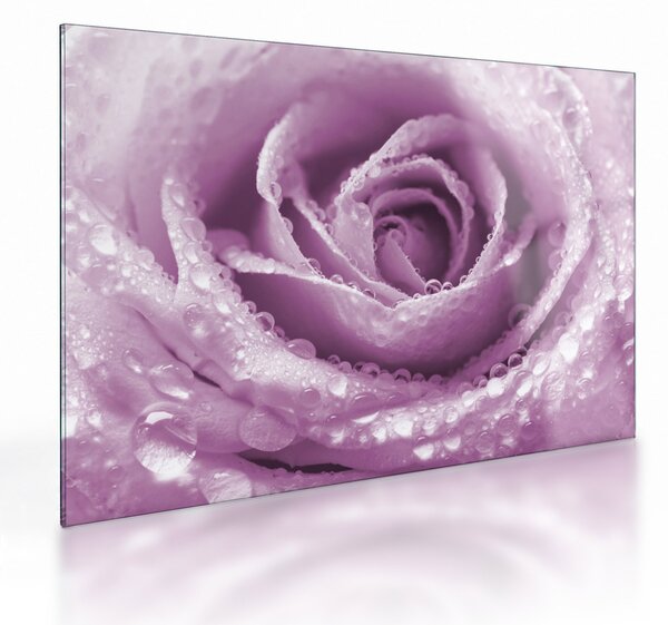 Tablou pe sticlă detaliu de floare de trandafir (70x50 cm)