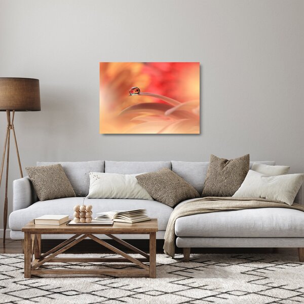 Tablou pe sticlă picăturii de rouă pe floare (70x50 cm)