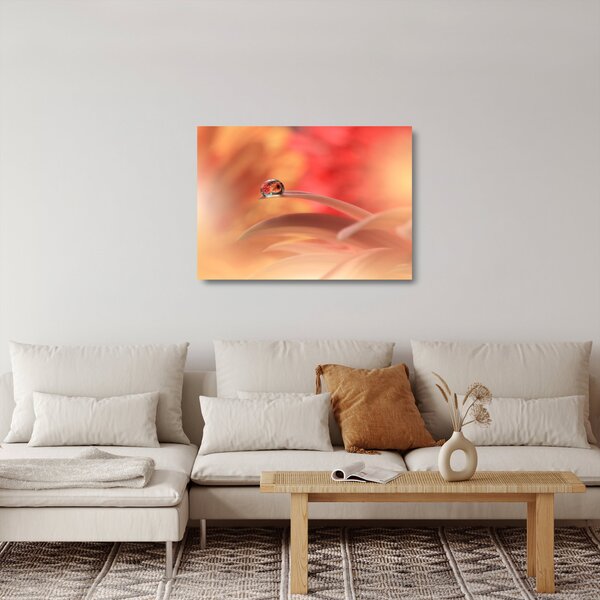 Tablou pe sticlă picăturii de rouă pe floare (70x50 cm)