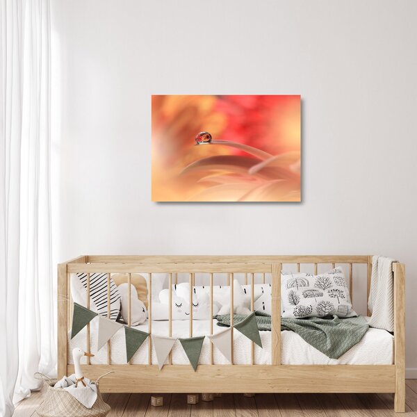 Tablou pe sticlă picăturii de rouă pe floare (70x50 cm)