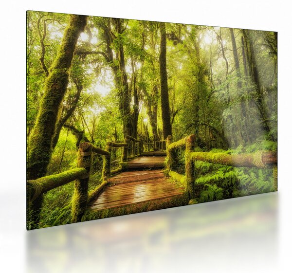 Tablou pe sticlă junglei cu mușchi (70x50 cm)