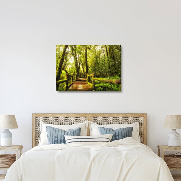 Tablou pe sticlă junglei cu mușchi (70x50 cm)