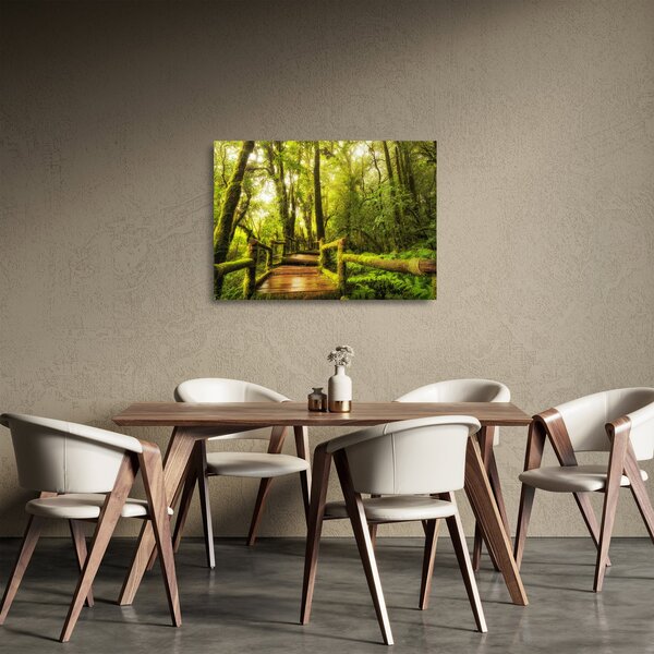 Tablou pe sticlă junglei cu mușchi (70x50 cm)