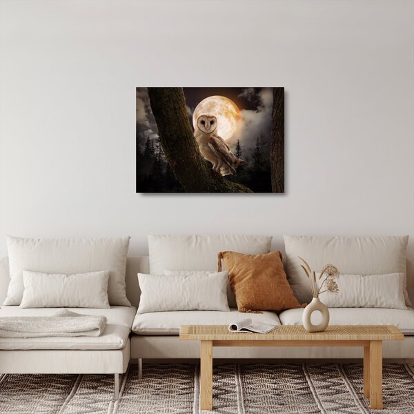 Tablou pe sticlă cu bufnița (70x50 cm)