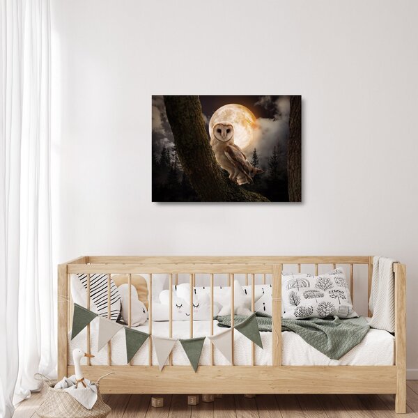 Tablou pe sticlă cu bufnița (70x50 cm)