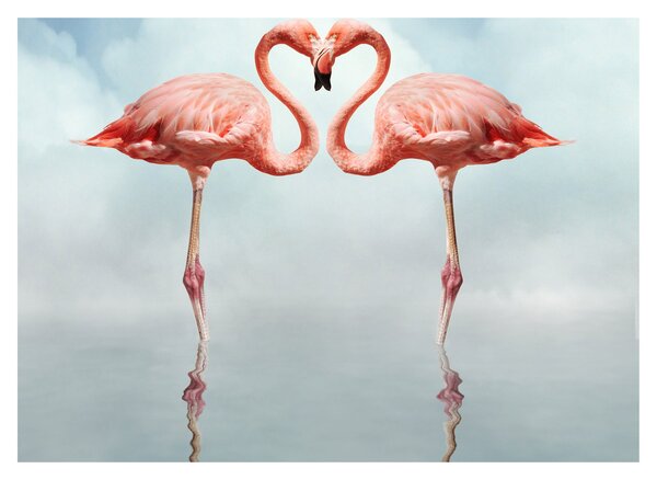 Tablou pe sticlă cu doi flamingo (70x50 cm)