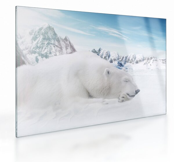 Tablou pe sticlă - Urs polar (70x50 cm)