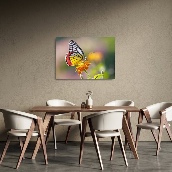 Tablou pe sticlă - Fluture pe floare (70x50 cm)