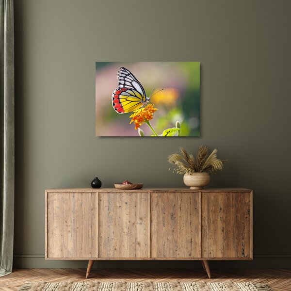 Tablou pe sticlă - Fluture pe floare (70x50 cm)