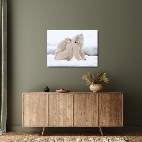 Tablou pe sticlă - Urs polar (70x50 cm)