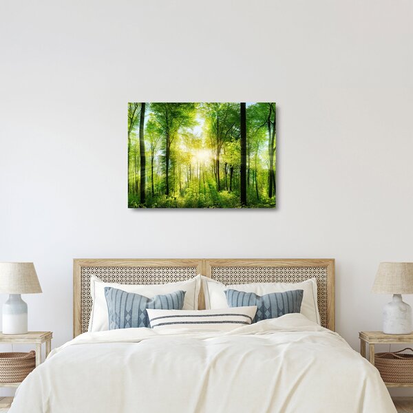 Tablou pe sticlă - Răsărit în pădure (70x50 cm)