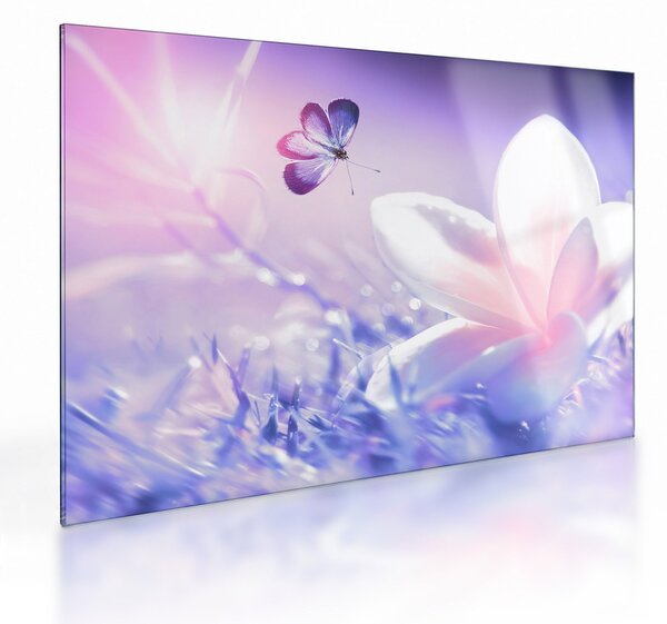 Tablou pe sticlă - Fluture lângă floare (70x50 cm)