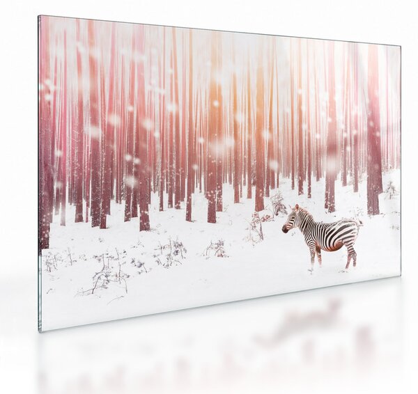 Tablou pe sticlă - Zebra în pădurea înzăpezită (70x50 cm)