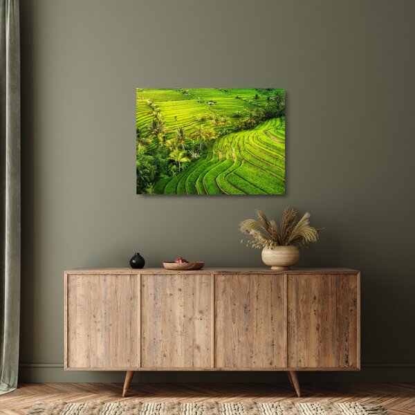 Tablou pe sticlă - Terase de orez (70x50 cm)