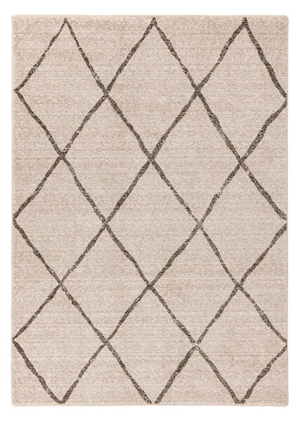 Covor AGADIR 501, 80x150 cm, forma dreptunghiulara, 100% polipropilena Heatset Frisee, bej