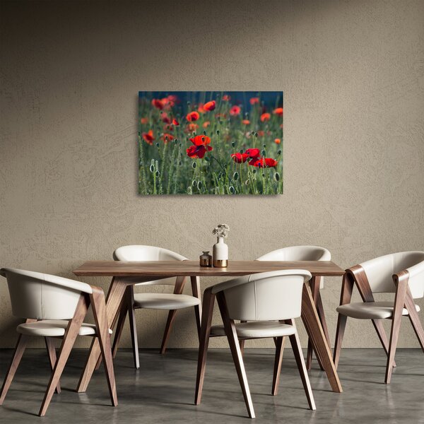 Tablou pe sticlă - Lunca cu maci (70x50 cm)