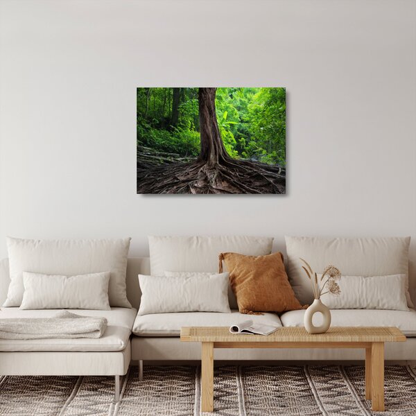 Tablou pe sticlă - Copac bătrîn cu rădăcini (70x50 cm)