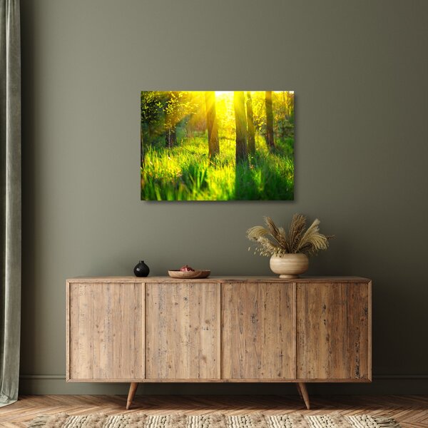 Tablou pe sticlă - Trezirea de primăvară a pădurii (70x50 cm)