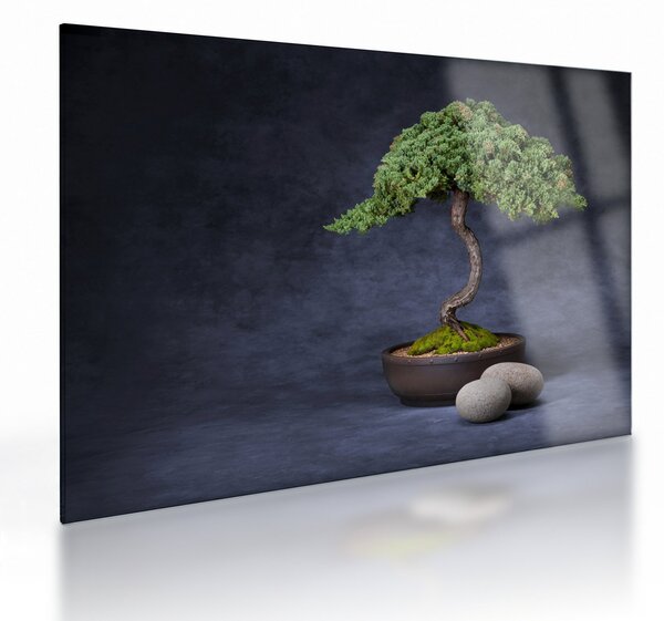 Tablou pe sticlă - Bonsai (70x50 cm)