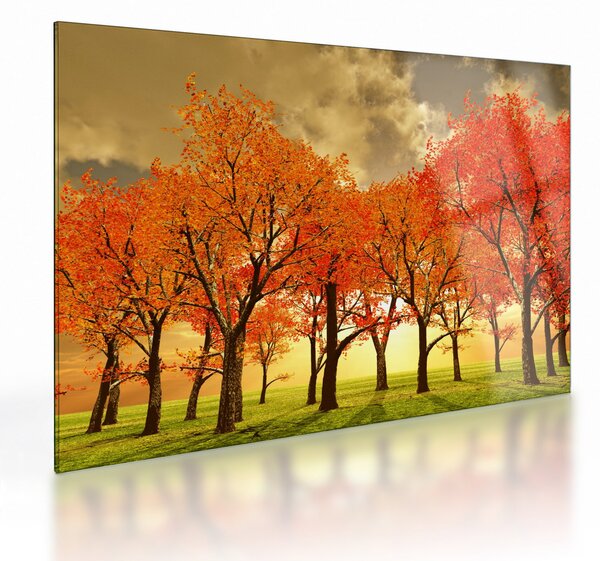 Tablou pe sticlă - Toamna (70x50 cm)