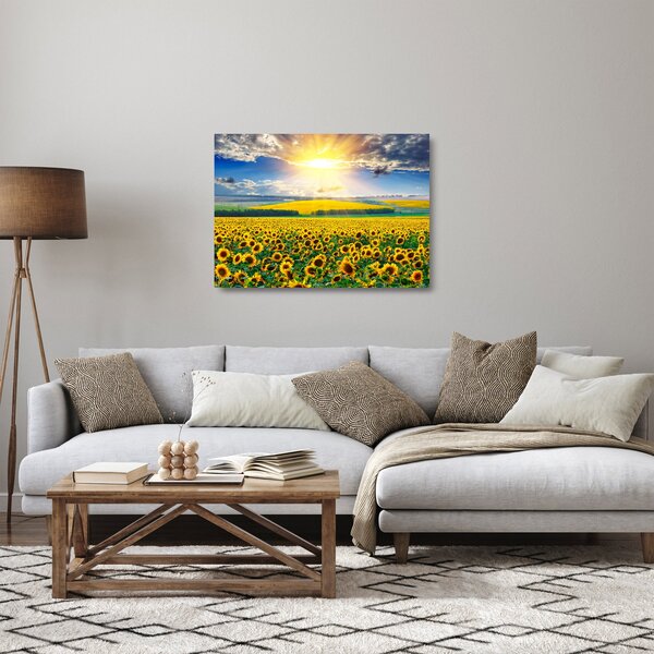Tablou pe sticlă - Câmp cu floarea soarelui (70x50 cm)