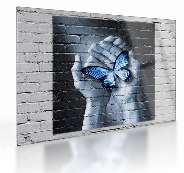 Tablou pe sticlă - Fluture pe perete (70x50 cm)