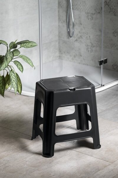 BISK Accesorii Erga, scaun baie cu spatiu depozitare 420x365x425 mm, negru, ERG-08044