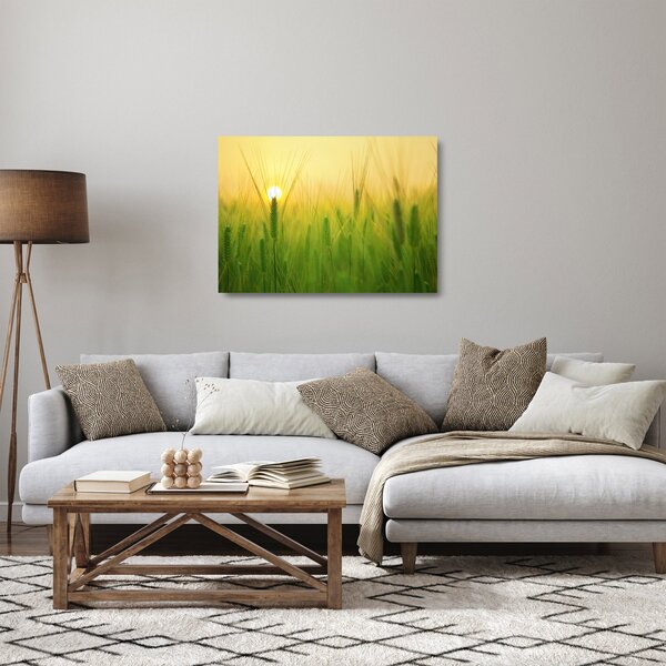 Tablou pe sticlă - Câmp cu cereale (70x50 cm)