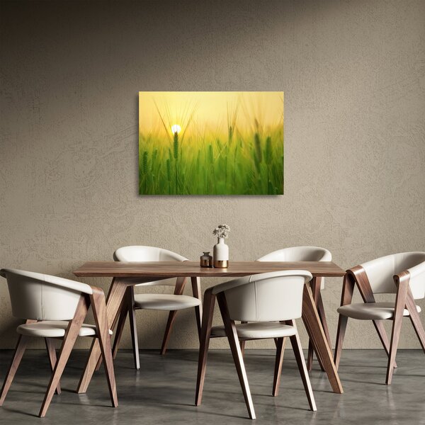 Tablou pe sticlă - Câmp cu cereale (70x50 cm)